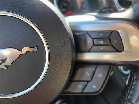 Used 2019 Ford Mustang GT w/ Equipment Group 301A image 19