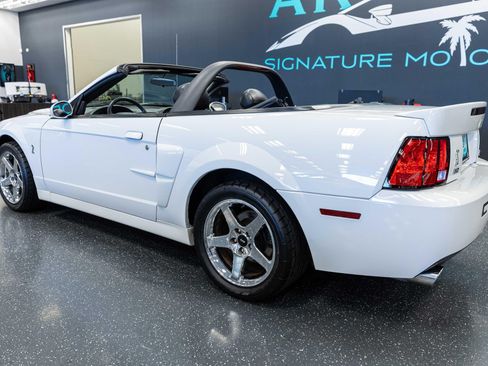 Used 2004 Ford Mustang Cobra RWD image 8