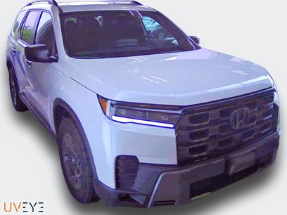 Used 2026 Honda Pilot TrailSport