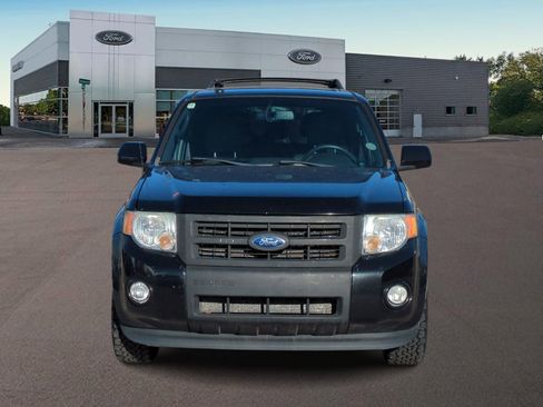 Used 2011 Ford Escape Limited w/ 301A Rapid Spec Order Code image 3
