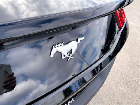 Used 2024 Ford Mustang EcoBoost image 28