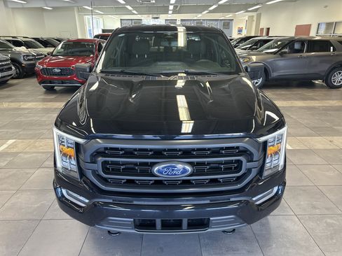 Used 2023 Ford F150 XLT w/ Equipment Group 302A High image 20