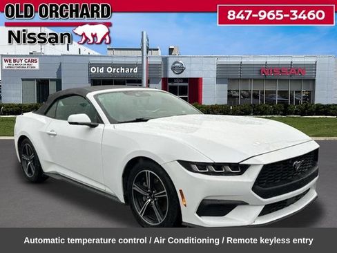 Used 2024 Ford Mustang Premium RWD image 5