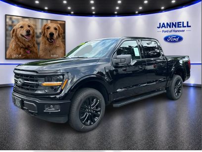 New 2026 Ford F150 XLT w/ Equipment Group 303A High