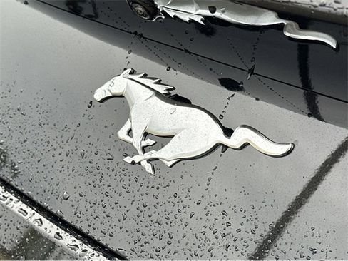 New 2026 Ford Mustang Premium image 25