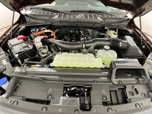 New 2025 Ford F150 XLT w/ Equipment Group 302A MID image 32