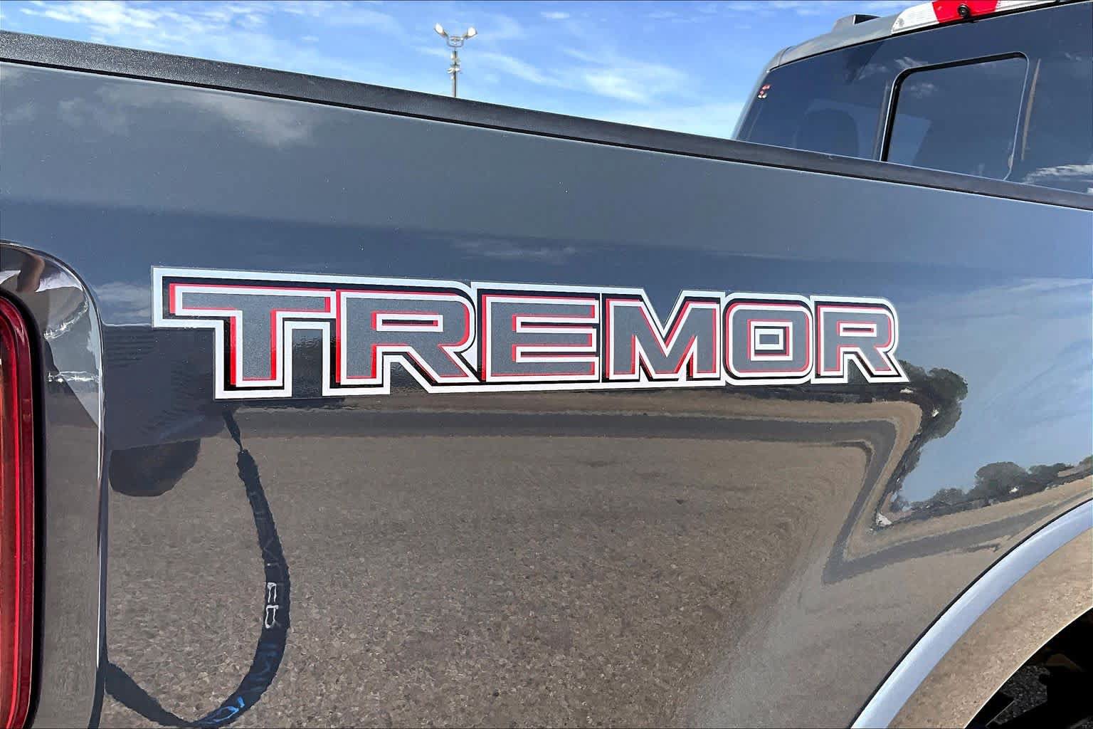 Used 2021 Ford F250 Platinum w/ Tremor Off-Road Package AWD/4WD image 33