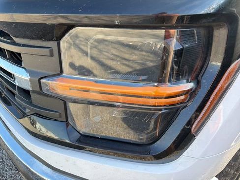 Used 2025 Ford F150 XLT w/ Equipment Group 301A Standard AWD/4WD image 6