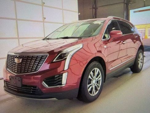 Used 2023 Cadillac XT5 Premium Luxury AWD/4WD image 2