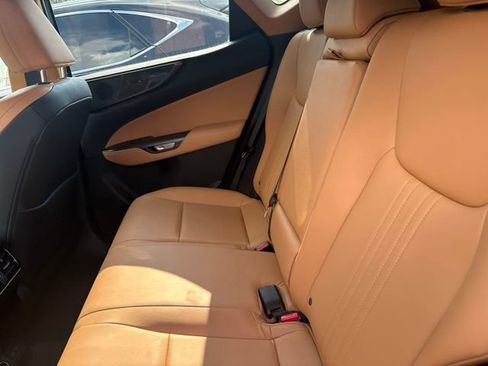 Used 2025 Lexus NX 250 FWD w/ Cold Area Package image 5