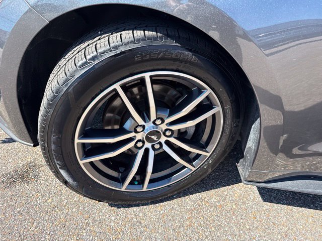 Used 2017 Ford Mustang Premium RWD image 11