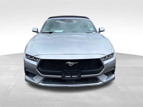 Used 2024 Ford Mustang Premium RWD image 2