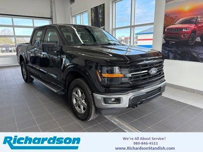Certified 2025 Ford F150 XLT w/ Equipment Group 301A Standard