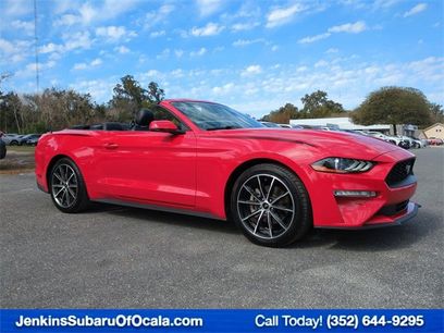 Used 2019 Ford Mustang Premium w/ Equipment Group 201A