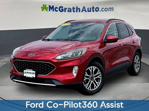 Used 2020 Ford Escape SEL AWD/4WD image 3