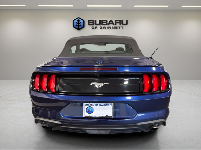 Used 2019 Ford Mustang Premium RWD image 4