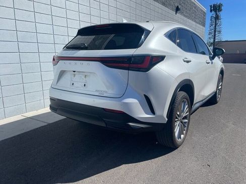 Certified 2025 Lexus NX 350h AWD w/ Cold Area Package image 3