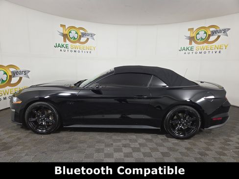 Used 2019 Ford Mustang GT Premium w/ Equipment Group 401A image 6