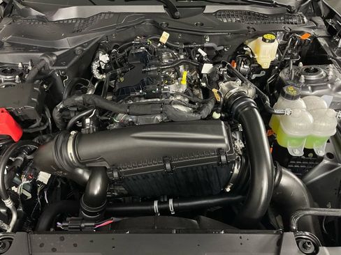 New 2026 Ford Mustang Coupe w/ Mustang Nite Pony Package image 9