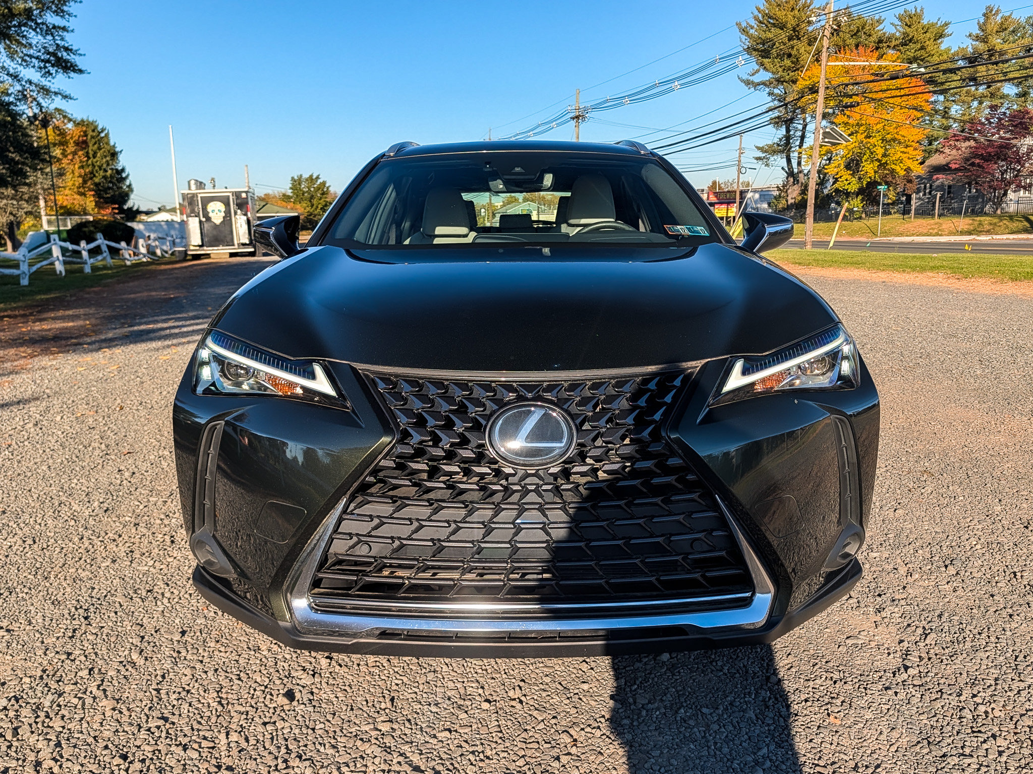 Used 2019 Lexus UX 200 w/ Premium Package FWD image 2