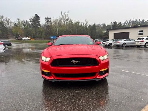Used 2016 Ford Mustang GT Premium w/ Equipment Group 401A RWD image 2