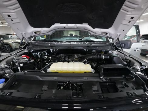 Used 2025 Ford F150 XLT w/ Equipment Group 301A Standard image 3