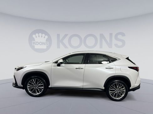 Used 2023 Lexus NX 350 AWD image 2