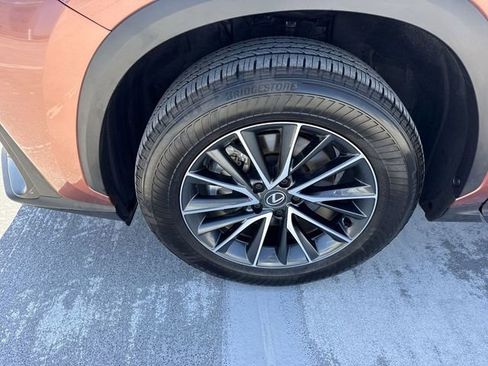 Used 2025 Lexus NX 250 FWD w/ Cold Area Package image 10
