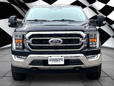 Used 2023 Ford F150 XLT w/ Equipment Group 302A High image 3