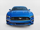 Used 2019 Ford Mustang Coupe w/ Equipment Group 101A image 2