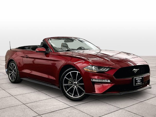 Used 2019 Ford Mustang Premium w/ Equipment Group 201A RWD image 2