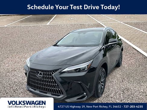 Used 2025 Lexus NX 250 FWD w/ Accessory Package (Z1) image 1