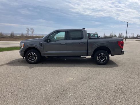 Used 2023 Ford F150 XLT w/ Equipment Group 302A High AWD/4WD image 6