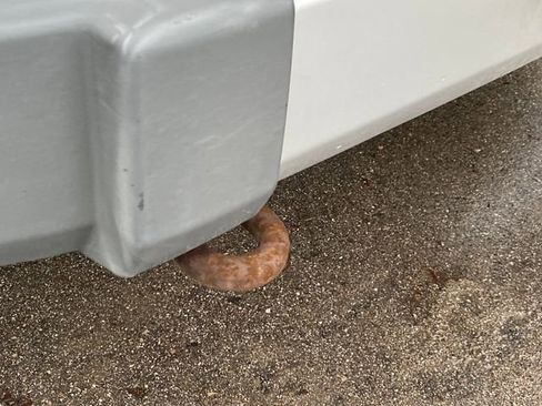 Used 2009 Jeep Wrangler Sahara w/ Dual Top Group image 3