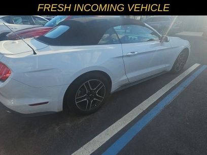 Used 2021 Ford Mustang Premium