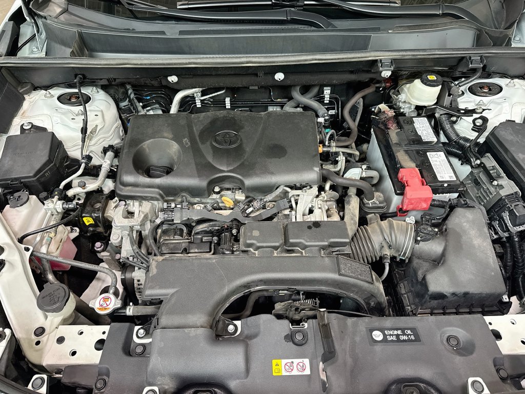 Used 2020 Toyota RAV4 XLE w/ XLE Grade Weather Package AWD/4WD image 36