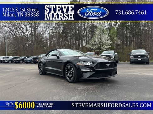 Used 2021 Ford Mustang Premium image 1