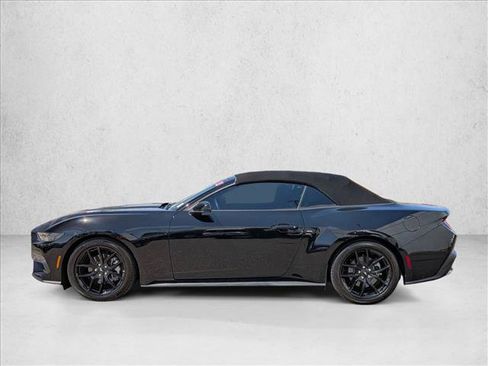 Used 2025 Ford Mustang Convertible w/ Mustang Nite Pony Package RWD image 9