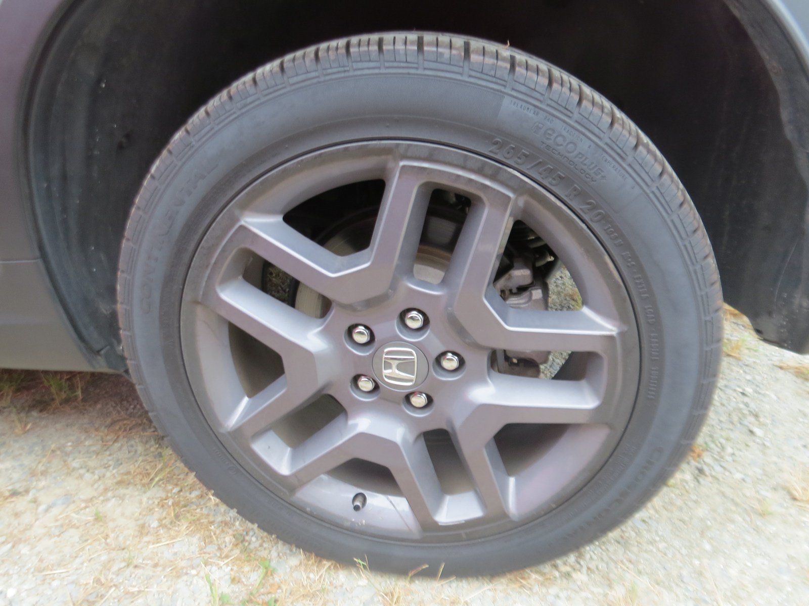 Used 2023 Honda Passport EX-L image 5