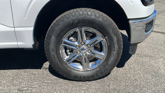 Used 2025 Ford F150 XLT w/ Equipment Group 301A Standard AWD/4WD image 11