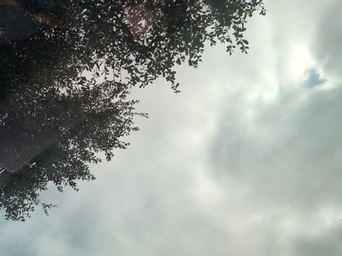 Used 2021 Tesla Model 3 Standard Range Plus image 20