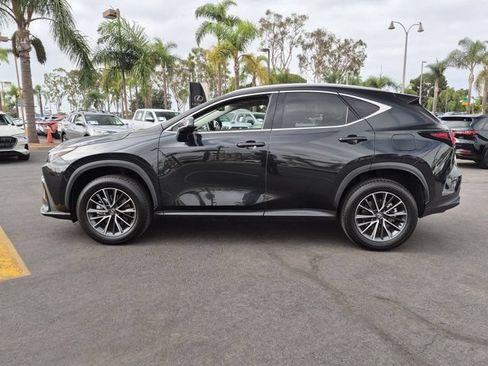 Used 2024 Lexus NX 350h AWD image 8