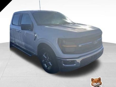 Used 2025 Ford F150 XLT w/ Equipment Group 301A Standard image 1