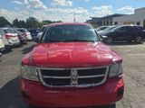 Used 2008 Dodge Dakota SLT image 2