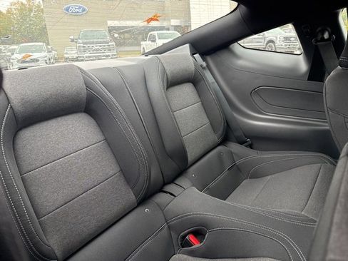 New 2026 Ford Mustang Coupe w/ Mustang Nite Pony Package image 20