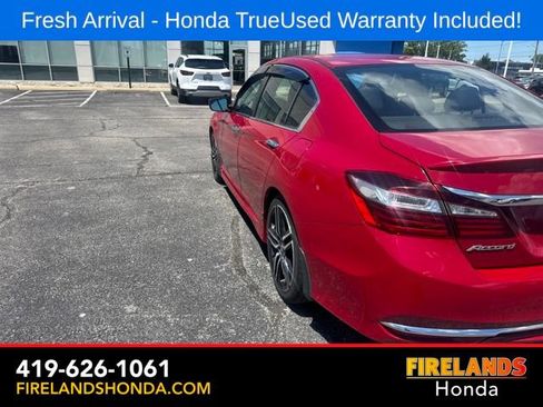 Used 2017 Honda Accord Sport Special Edition image 4