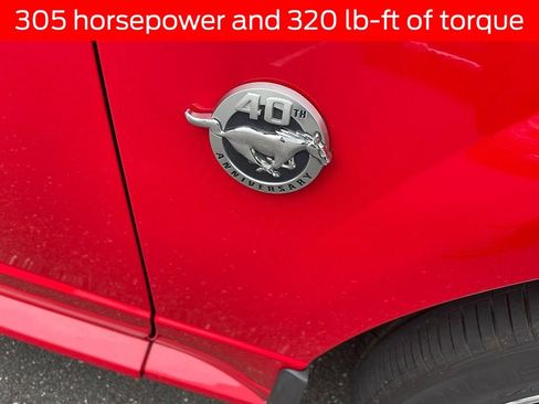 Used 2004 Ford Mustang GT RWD image 4