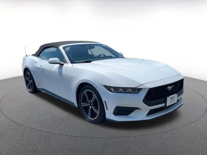 Used 2024 Ford Mustang Premium