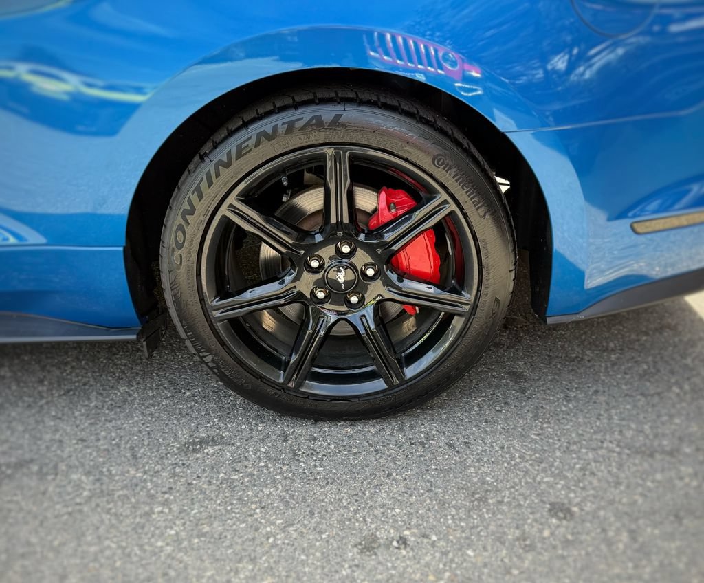 Used 2019 Ford Mustang GT w/ Equipment Group 301A RWD image 17