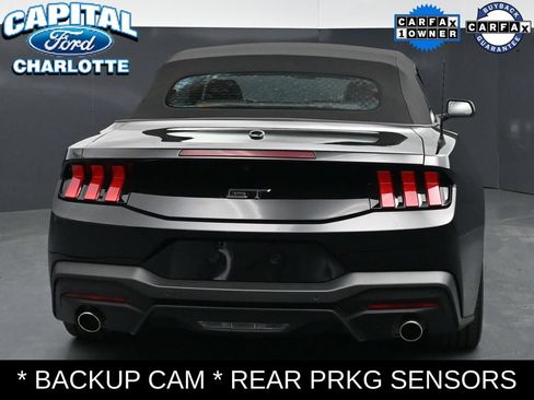 Used 2025 Ford Mustang GT Premium w/ Mustang Nite Pony Package RWD image 6